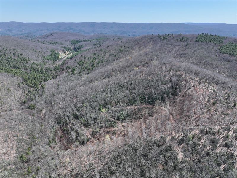 32.36 Acres in Pocahontas County WV : Marlinton : Pocahontas County : West Virginia