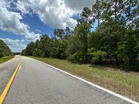 12.73 and 6.4 Acres : Waynesboro : Burke County : Georgia