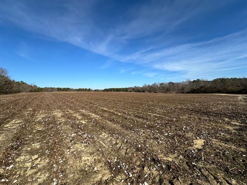 130 Acres Cultivated and Wooded : Swainsboro : Emanuel County : Georgia