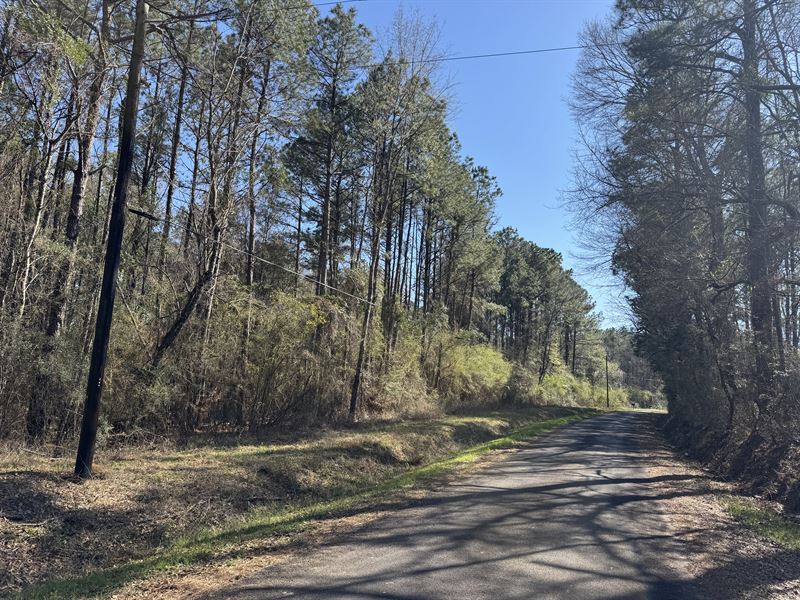 Scenic 11.5 Acre Property : Jayess : Pike County : Mississippi