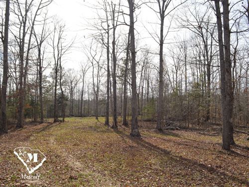 Excellent 35 Ac in Cherokee County : Spartanburg : Cherokee County : South Carolina
