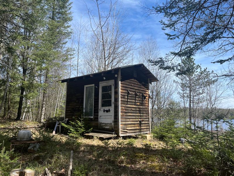 Squirrel Lake Parcel : Minocqua : Oneida County : Wisconsin