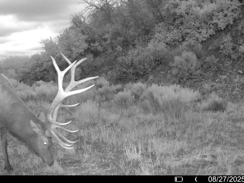 Talamante 160 : Dulce : Rio Arriba County : New Mexico