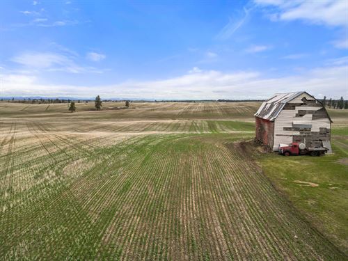 Schetzle Family Farm : Reubens : Lewis County : Idaho
