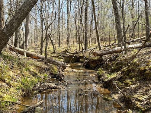 Little Cedar Creek Farm : Haddock : Jones County : Georgia