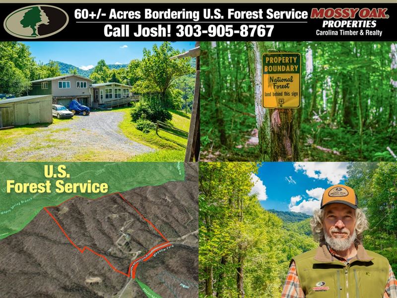 Private 60 Acres Bordering Pisga : Hot Springs : Madison County : North Carolina