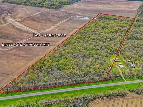 Great Duck/Deer Combo in Concordia : Clayton : Concordia Parish : Louisiana