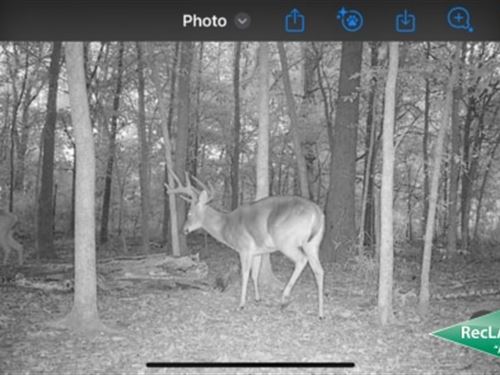 120 Acres, Farm & Hunting, Reduced : Marvell : Phillips County : Arkansas