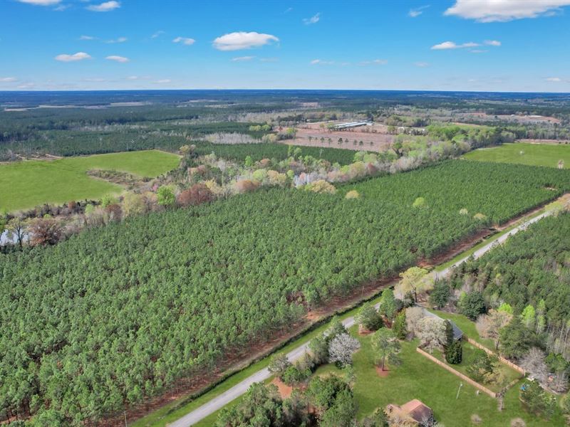 5 Acres O'quinn Loop : Odum : Wayne County : Georgia