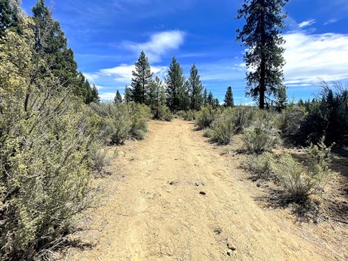 Investment Land to Protect Assets : Chiloquin : Klamath County : Oregon