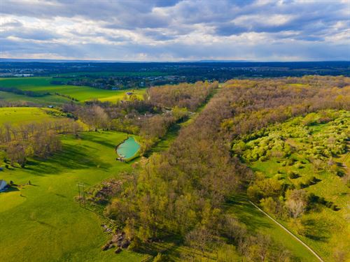 10 Acres in Jefferson County WV : Charles Town : Jefferson County : West Virginia