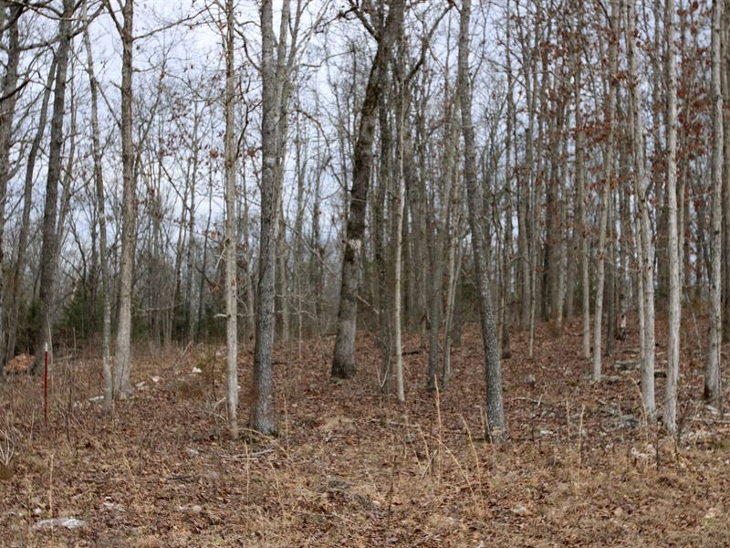 Private and Secluded Land for Sale : West Plains : Howell County : Missouri