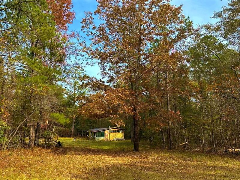 $1,600 Per. Acre / Call Today : Irwinton : Wilkinson County : Georgia