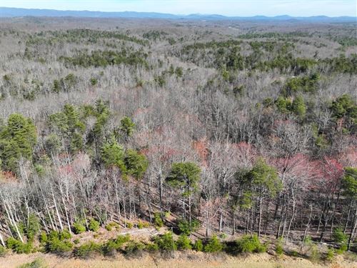 41.18 Acres of Recreational Land fo : Stuart : Patrick County : Virginia
