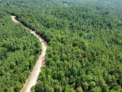 32 Acres in Tuscaloosa County : Moores Bridge : Tuscaloosa County : Alabama