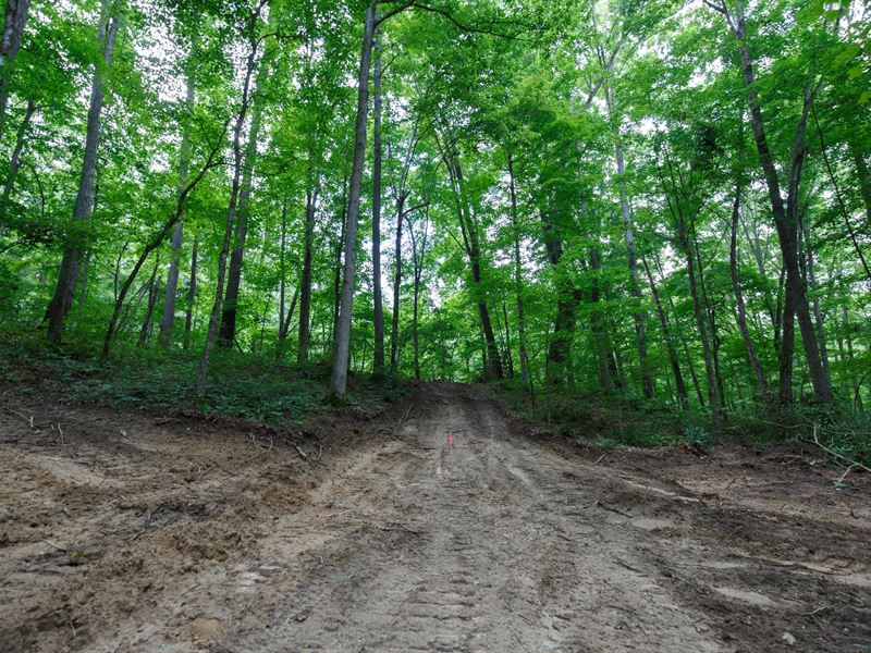 $999 Down Land : Pueblo : Wayne County : Kentucky