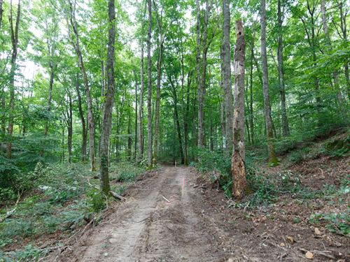 $999 Down in Wayne County : Pueblo : Wayne County : Kentucky