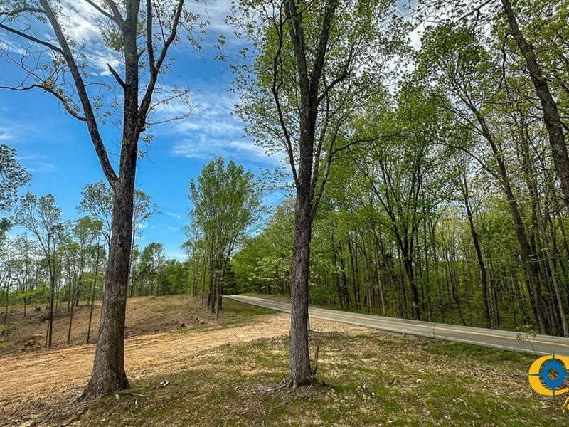 Highway 438 L4 : Centerville : Hickman County : Tennessee