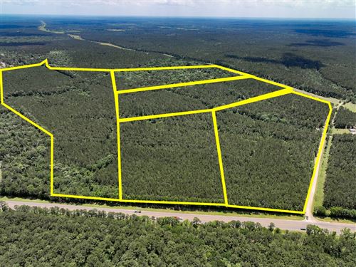 15 Acres, T-2, Highway 190 : Oakhurst : San Jacinto County : Texas