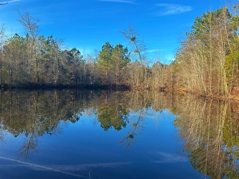 Large Creek & Pond : McIntyre : Wilkinson County : Georgia