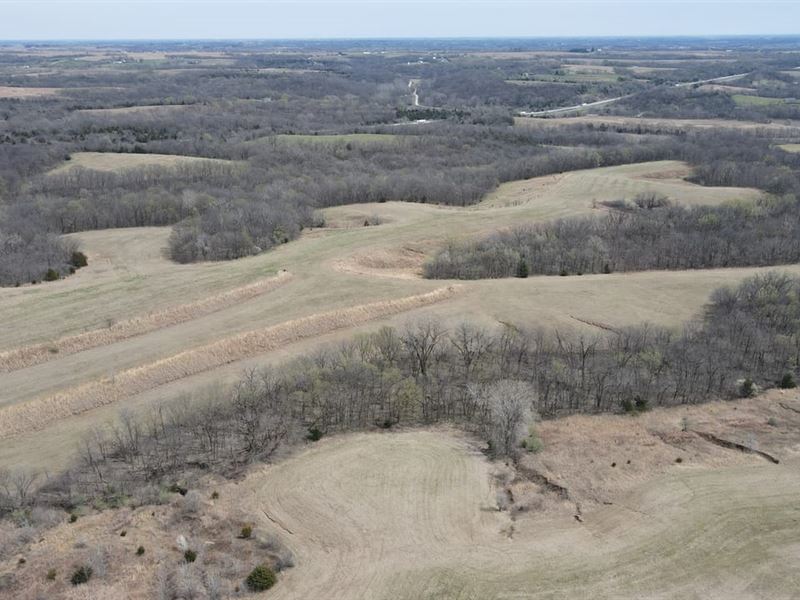Andrew County Hunting/Farming Acrea : Amazonia : Andrew County : Missouri