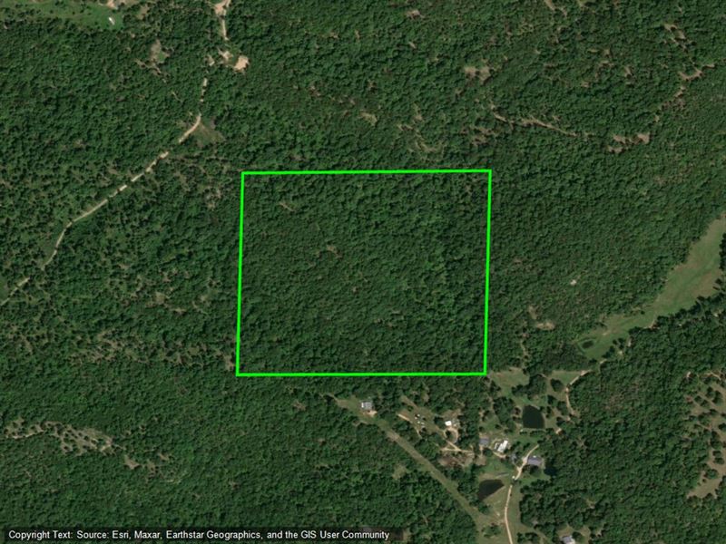 40 Acres Melbourne, Arkansas : Melbourne : Izard County : Arkansas