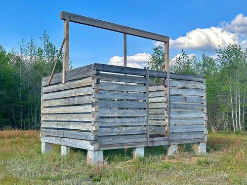 10 Acres In Wilcox County, GA : Rochelle : Wilcox County : Georgia