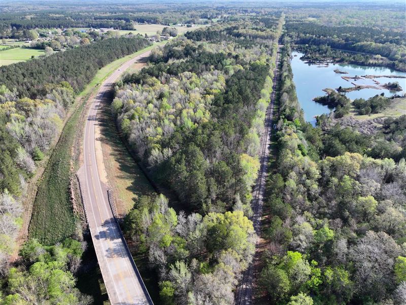 20 Acres in Lowndes County, MS : Steens : Lowndes County : Mississippi