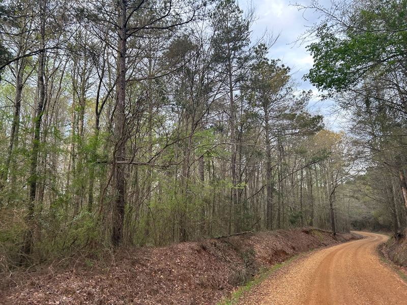 79 Acres in Neshoba County, MS : Union : Neshoba County : Mississippi