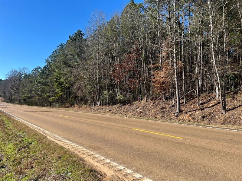 26 Acres in Wilkinson County, MS : Centreville : Wilkinson County : Mississippi