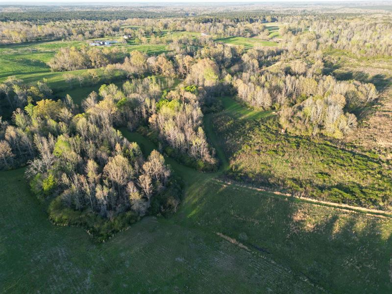 68 Acres with A Home in Copiah Coun : Wesson : Copiah County : Mississippi