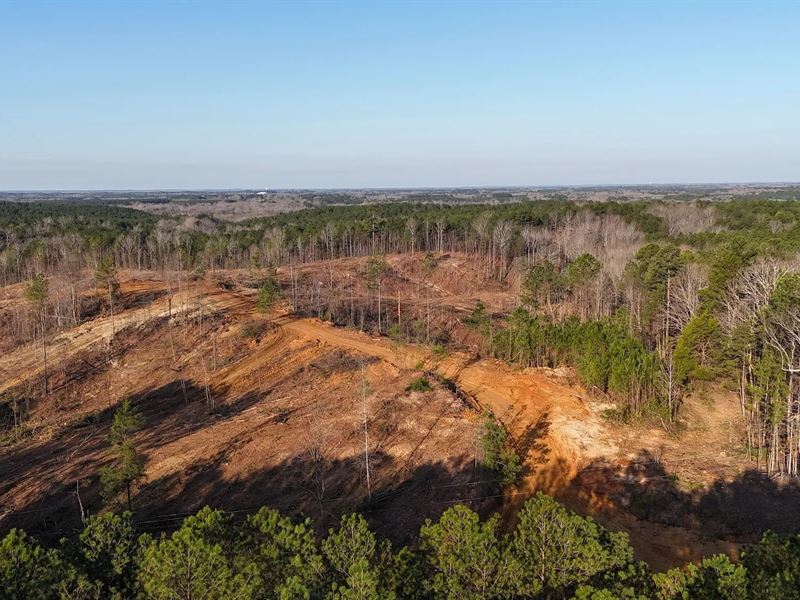 19.24 Acres in Prentiss County, MS : New Site : Prentiss County : Mississippi