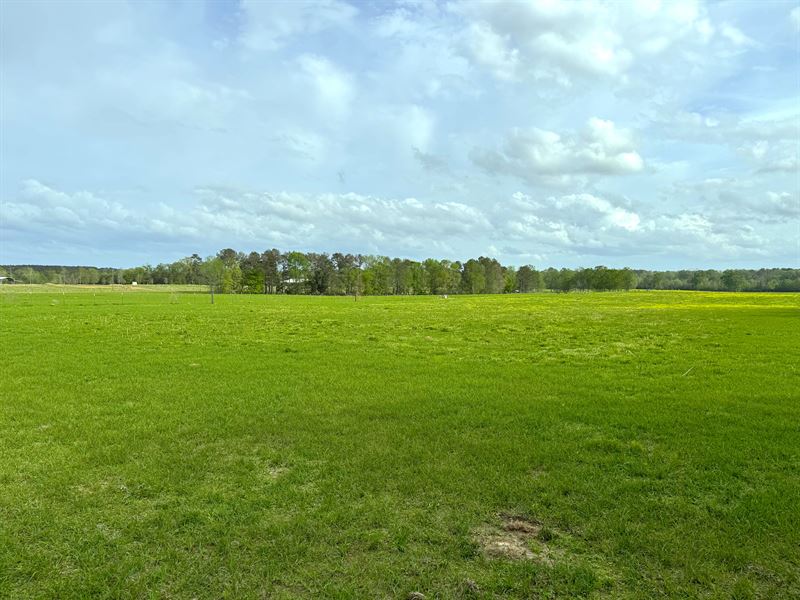 Turn-Key Cattle Farm : Smithdale : Lincoln County : Mississippi