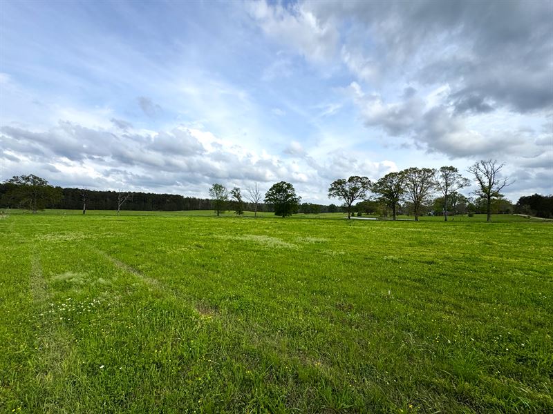 Picturesque Cattle Farm : Smithdale : Lincoln County : Mississippi