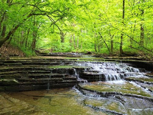 Buck Branch, 63 Acres : Charlotte : Dickson County : Tennessee