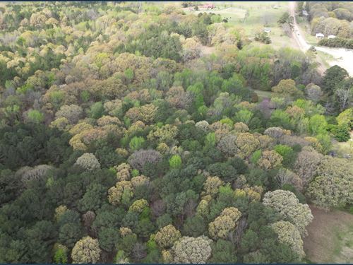42 Acres in Lafayette County in Oxf : Oxford : Lafayette County : Mississippi