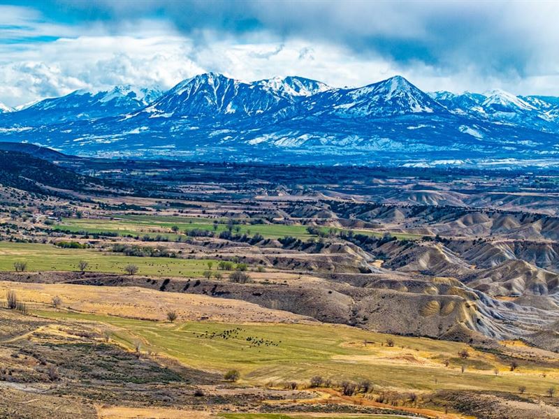 The Shamrock Ranch : Hotchkiss : Delta County : Colorado