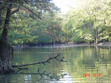 Bayou Deview Hunting Club : Morton : Woodruff County : Arkansas