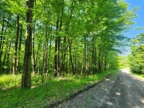 Excellent Southern Tier Hunting : Erin : Chemung County : New York