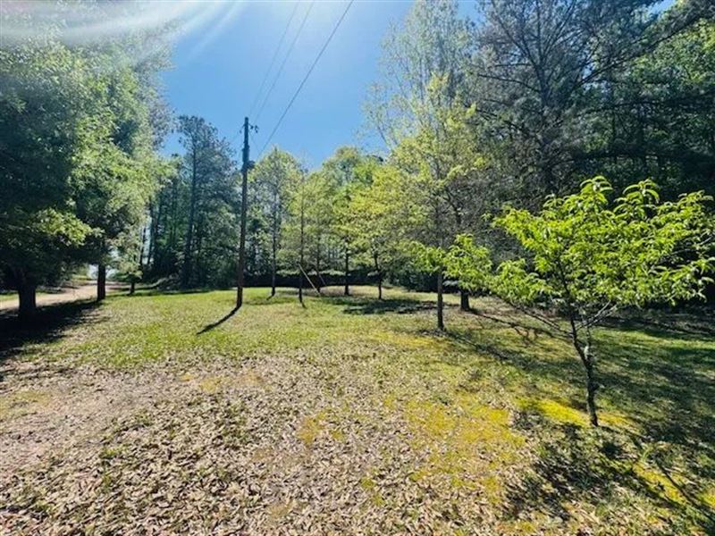 5.65 Acres / Phifer Lane/ Franklint : Franklinton : Washington Parish : Louisiana