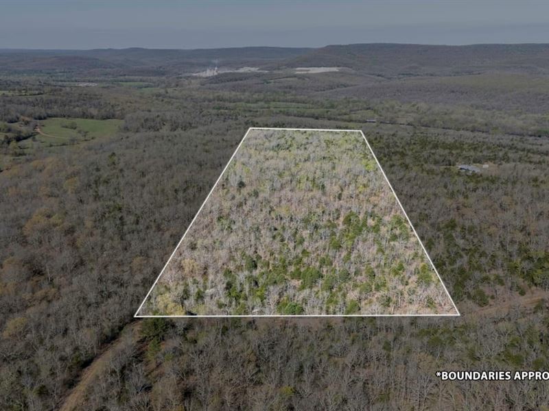 Firestine 40 : Marble City : Sequoyah County : Oklahoma