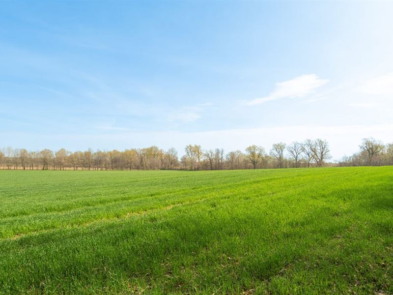 Beautiful 20 Acre Farm for Sale : Dexter : Stoddard County : Missouri