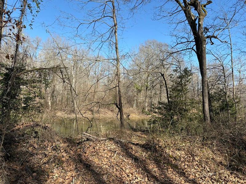 10 Acres in Grenada County, MS : Holcolmb : Grenada County : Mississippi
