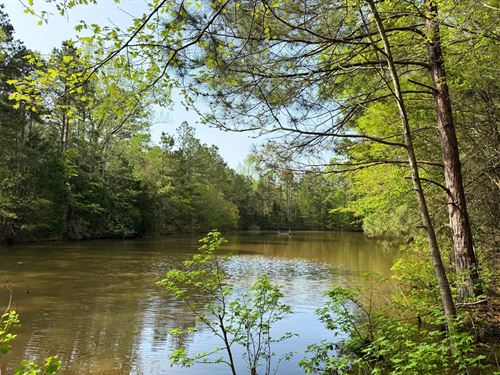 65 Acres, County Road 4789 : Timpson : Shelby County : Texas