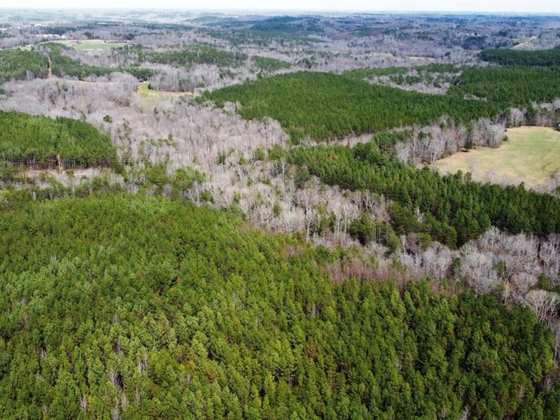 Waterfalls, Timber, and Relaxation : Double Springs : Winston County : Alabama