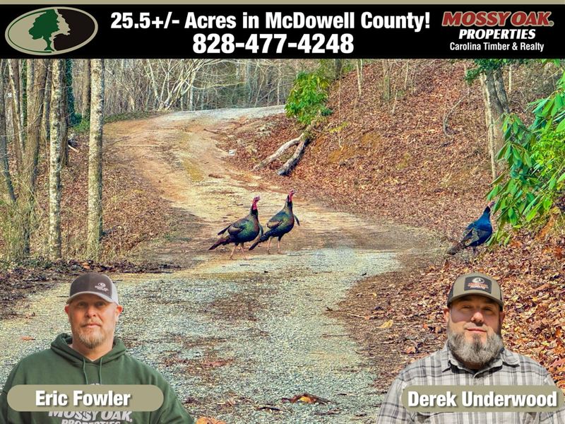 25.5 Unrestricted Acres Outside : Old Fort : McDowell County : North Carolina