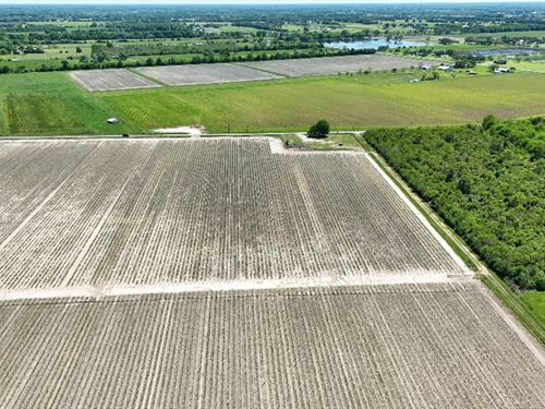 17 Acres in Acadia Parish LA : Church Point : Acadia Parish : Louisiana