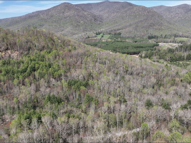12.14 Acres in Avery County, NC : Newland : Avery County : North Carolina