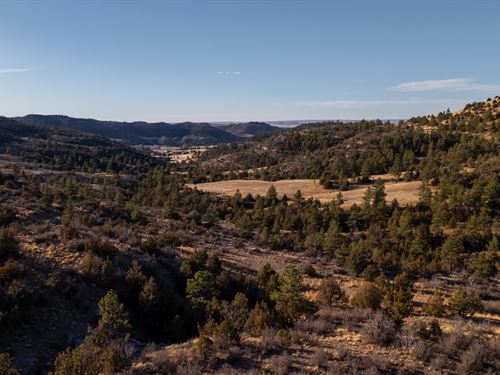Time Out Ranch : Hartville : Platte County : Wyoming