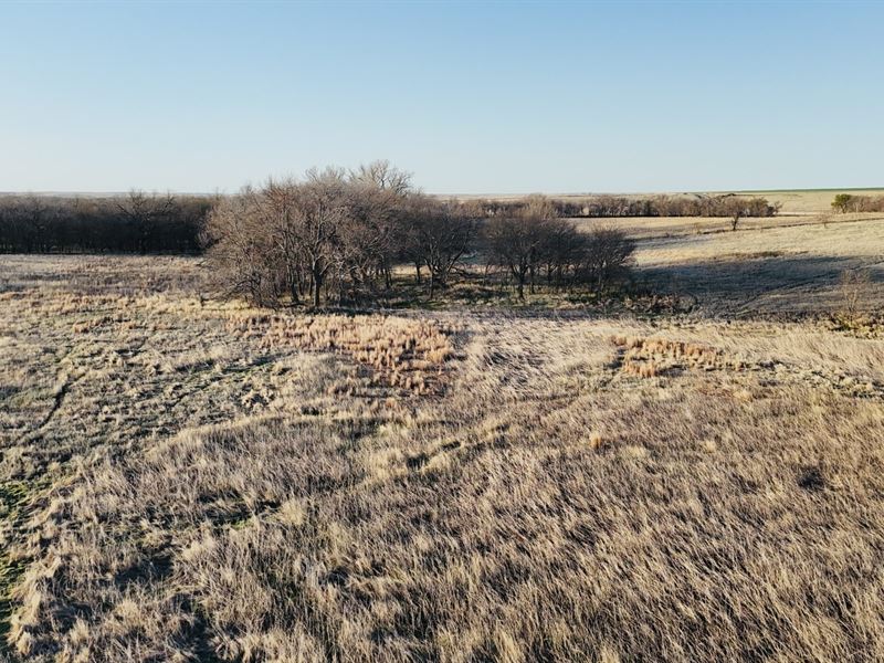 Decatur Crp and Hunt : Jennings : Decatur County : Kansas